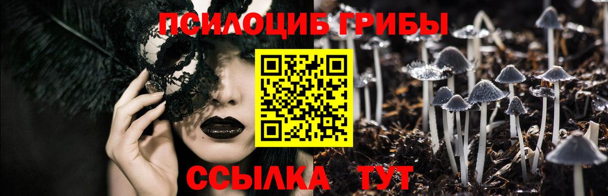 Свободный  Галлюциногенные грибы Psilocybine cubensis  Псилоцибиновые грибы ЛСД  Вход с VPN 